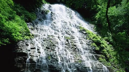 稳定性高质量